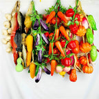 Artificial Simulation Food Vegetables Fake Chili Pepper Fruit Photography Props For Decoration Room Home Christmas Wall Decor