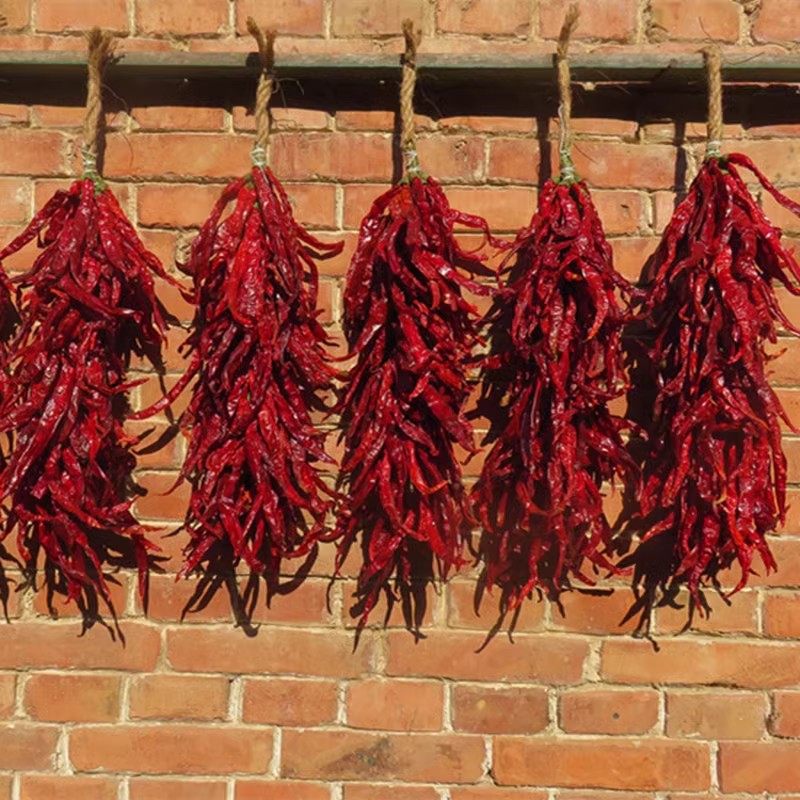 Hand-Woven Dried Red Chili Pepper String Garland, Hanging Chili Ornament, Handmade Spicy Pepper Wall Decor for Home Kitchen Restaurant Decoration