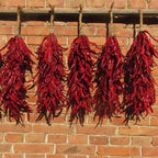 Hand-Woven Dried Red Chili Pepper String Garland, Hanging Chili Ornament, Handmade Spicy Pepper Wall Decor for Home Kitchen Restaurant Decoration