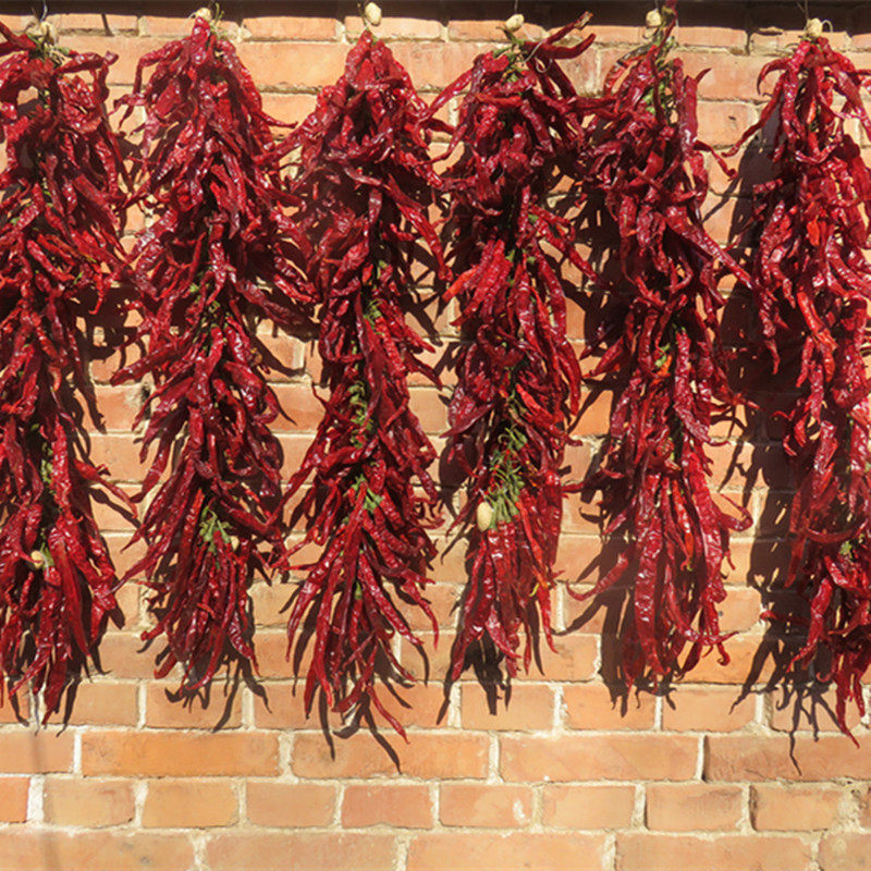 Hand-Woven Dried Red Chili Pepper String Garland, Hanging Chili Ornament, Handmade Spicy Pepper Wall Decor for Home Kitchen Restaurant Decoration